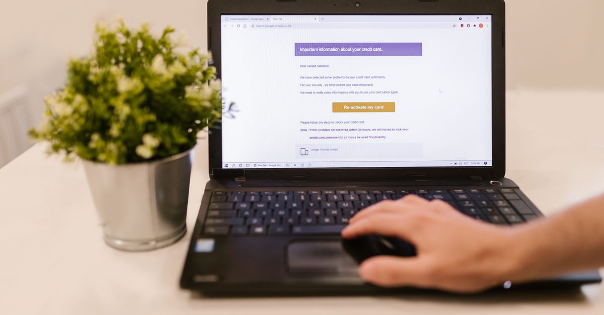 Transactional Email Sender Checks Before Customers Rely On Them editorial image for Email Squid.